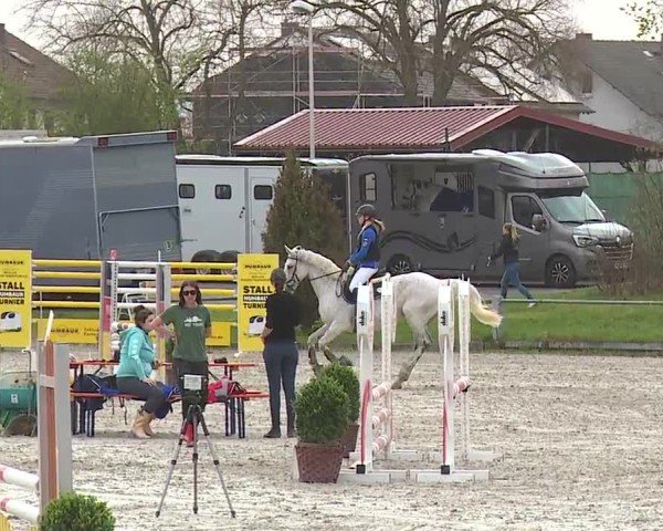 Reitturnier Grafenrheinfeld/Ufr. 2024