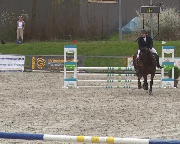 Reitturnier Grafenrheinfeld/Ufr. 2024