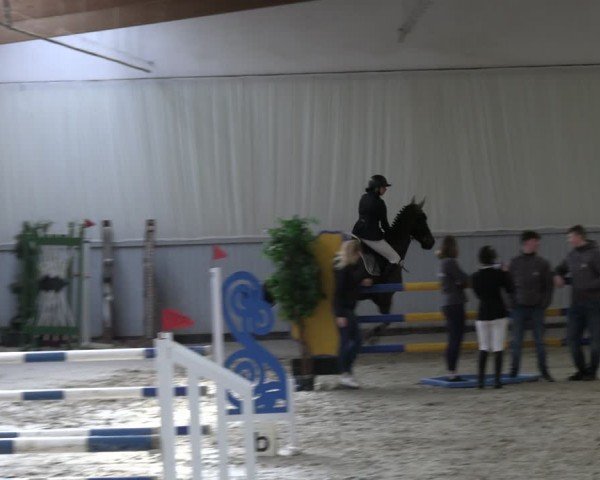 Reitturnier Lentzke - Reitanlage Krehl 2024