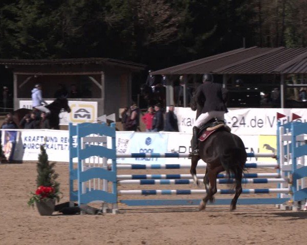 Reitturnier Ranshofen - Braunau am Inn 2024