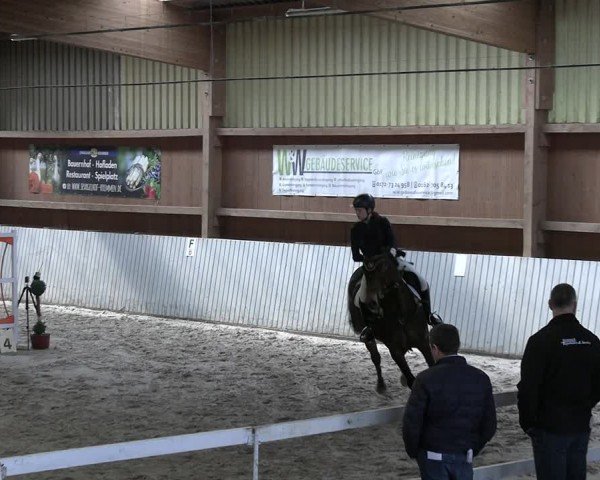 Reitturnier Lentzke - Reitanlage Krehl 2024