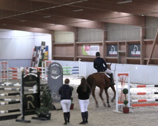 Reitturnier Lentzke - Reitanlage Krehl 2024
