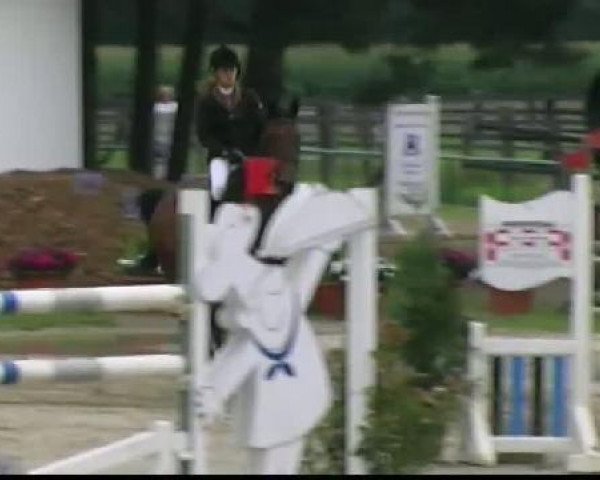 Waltrop 2011