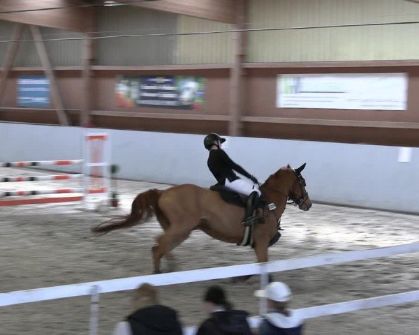 Reitturnier Lentzke - Reitanlage Krehl 2024