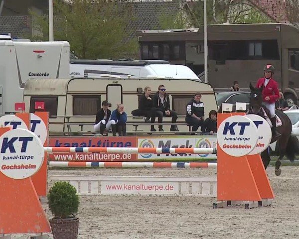 Reitturnier Grafenrheinfeld/Ufr. 2024