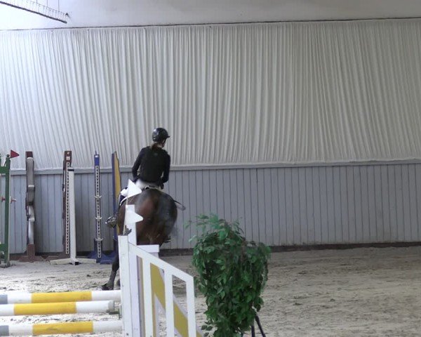 Reitturnier Lentzke - Reitanlage Krehl 2024