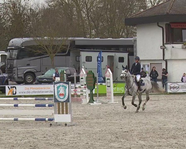 Reitturnier Grafenrheinfeld/Ufr. 2024
