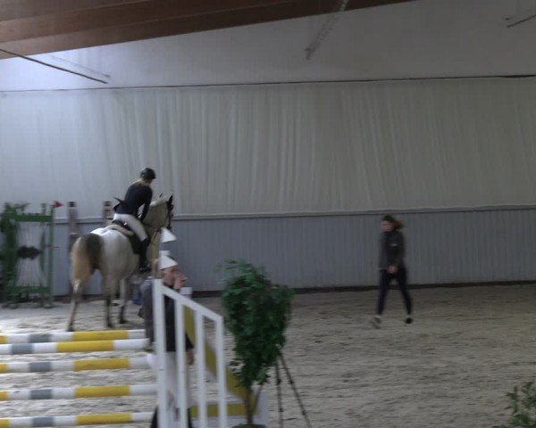 Reitturnier Lentzke - Reitanlage Krehl 2024