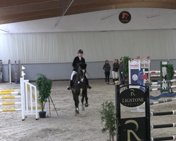 Reitturnier Lentzke - Reitanlage Krehl 2024