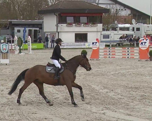 Reitturnier Grafenrheinfeld/Ufr. 2024