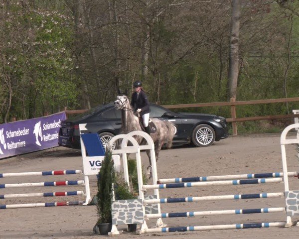 Reitturnier Scharnebeck 2024