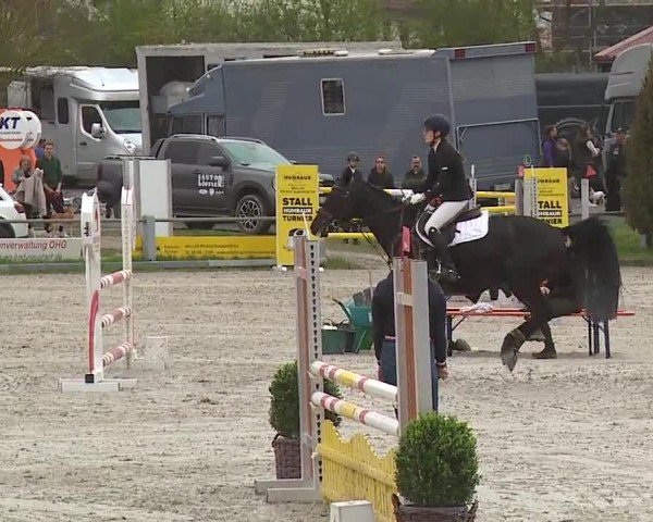 Reitturnier Grafenrheinfeld/Ufr. 2024
