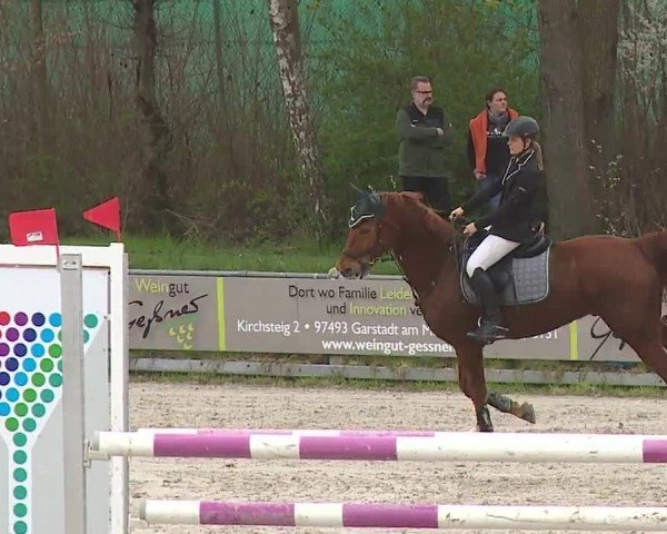 Reitturnier Grafenrheinfeld/Ufr. 2024
