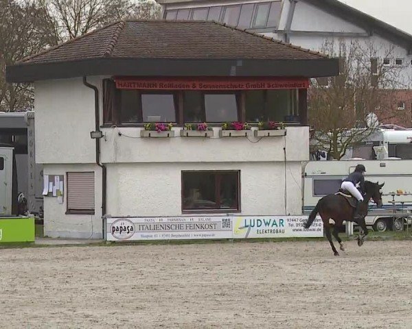 Reitturnier Grafenrheinfeld/Ufr. 2024