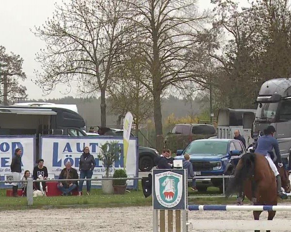 Reitturnier Grafenrheinfeld/Ufr. 2024