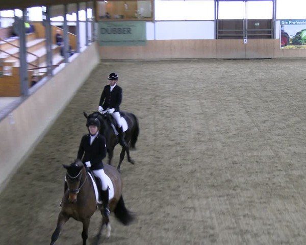 Reitturnier Borgholzhausen-Westbarthausen 2024