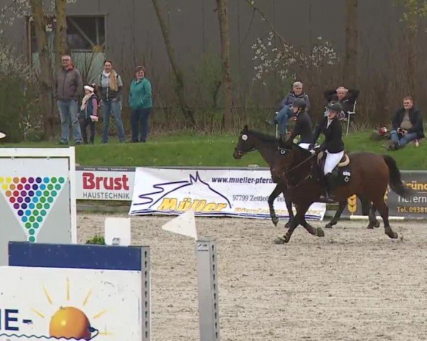 Reitturnier Grafenrheinfeld/Ufr. 2024