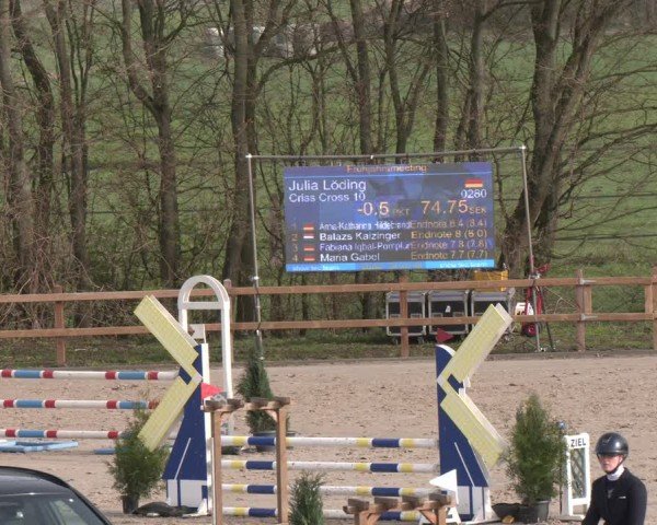 Reitturnier Scharnebeck 2024
