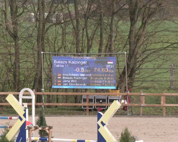 Reitturnier Scharnebeck 2024