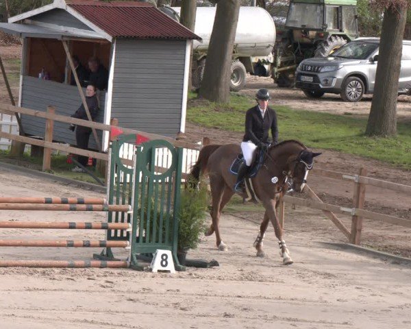 Reitturnier Scharnebeck 2024