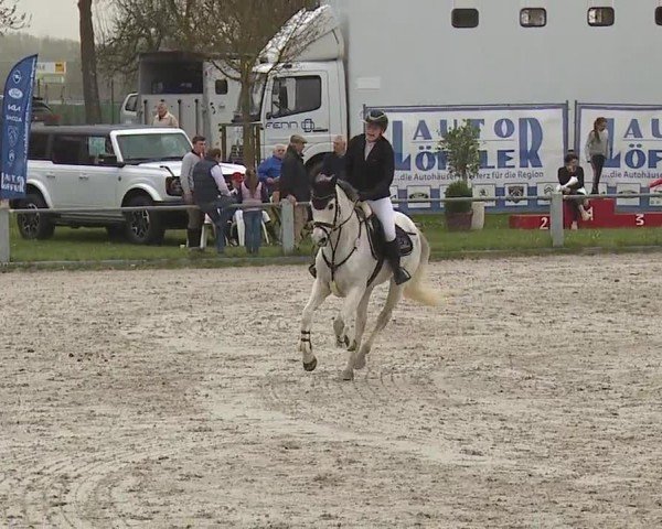 Reitturnier Grafenrheinfeld/Ufr. 2024