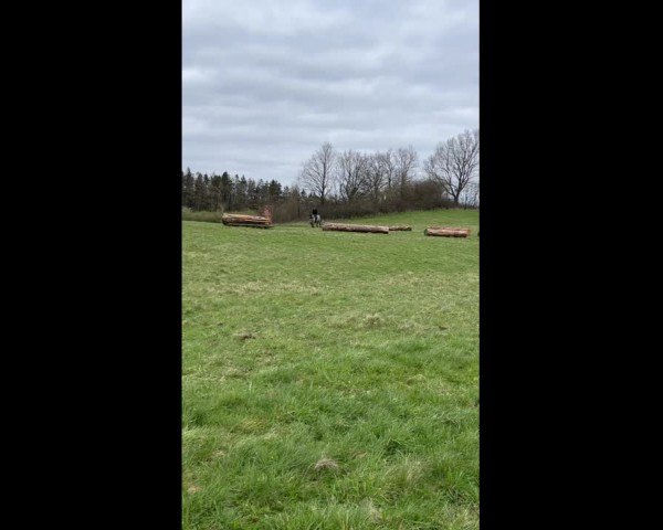 Video of Del Pier II