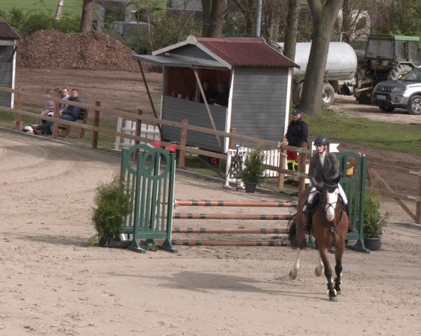Reitturnier Scharnebeck 2024