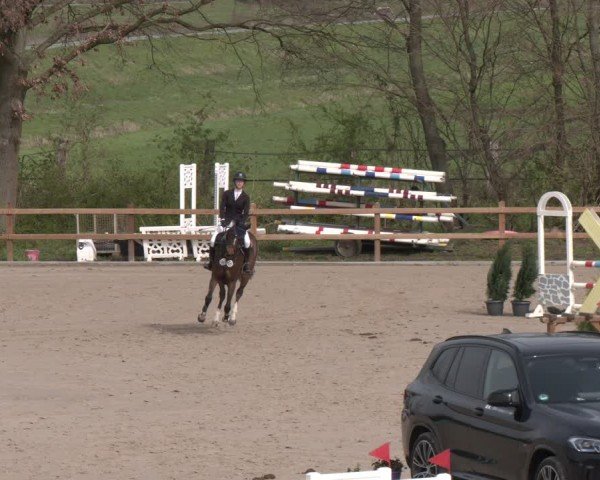 Reitturnier Scharnebeck 2024