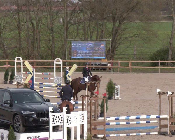 Reitturnier Scharnebeck 2024