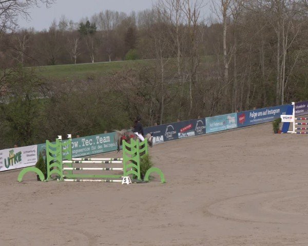 Reitturnier Scharnebeck 2024