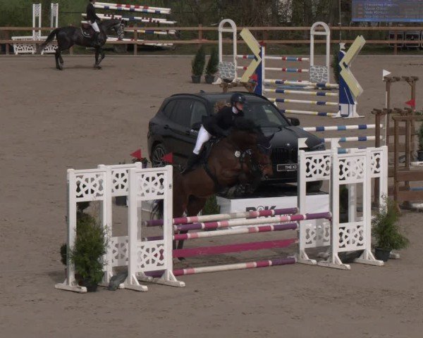 Reitturnier Scharnebeck 2024
