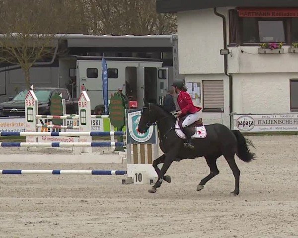 Reitturnier Grafenrheinfeld/Ufr. 2024