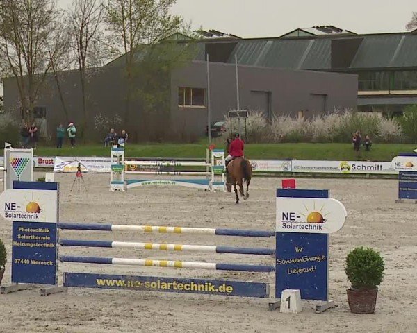 Reitturnier Grafenrheinfeld/Ufr. 2024
