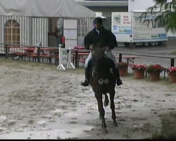 Waltrop 2011