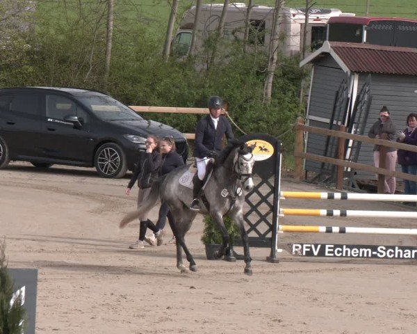 Reitturnier Scharnebeck 2024