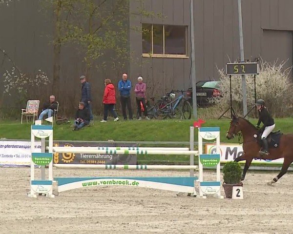 Reitturnier Grafenrheinfeld/Ufr. 2024