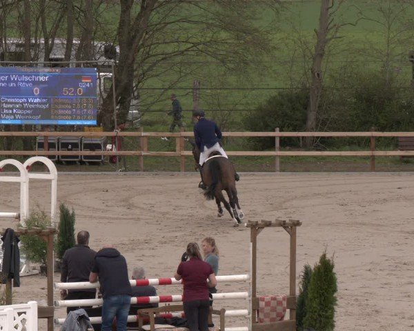 Reitturnier Scharnebeck 2024