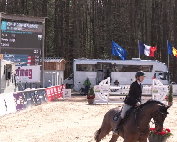 Reitturnier Ranshofen - Braunau am Inn 2024
