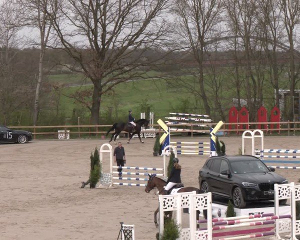 Reitturnier Scharnebeck 2024