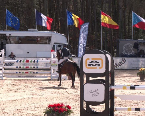 Reitturnier Ranshofen - Braunau am Inn 2024