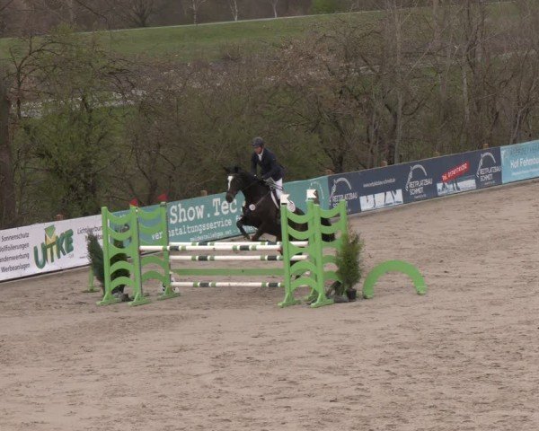 Reitturnier Scharnebeck 2024