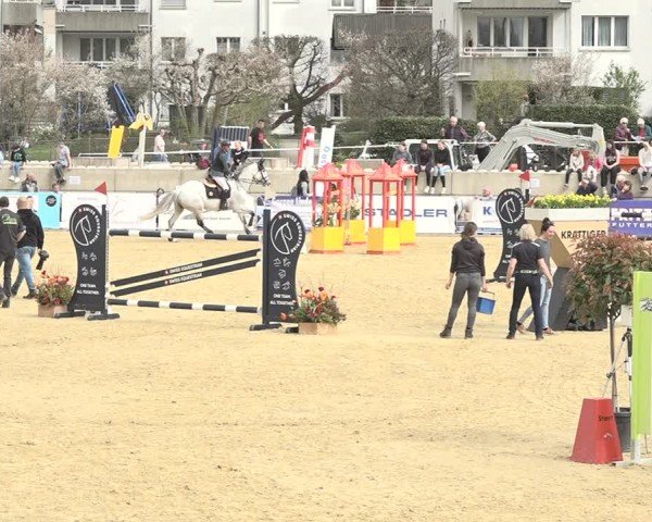 Reitturnier Amriswil 2024