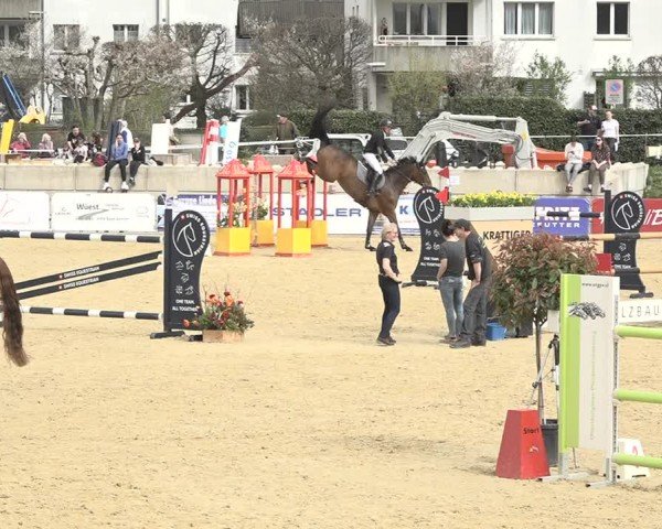 Reitturnier Amriswil 2024