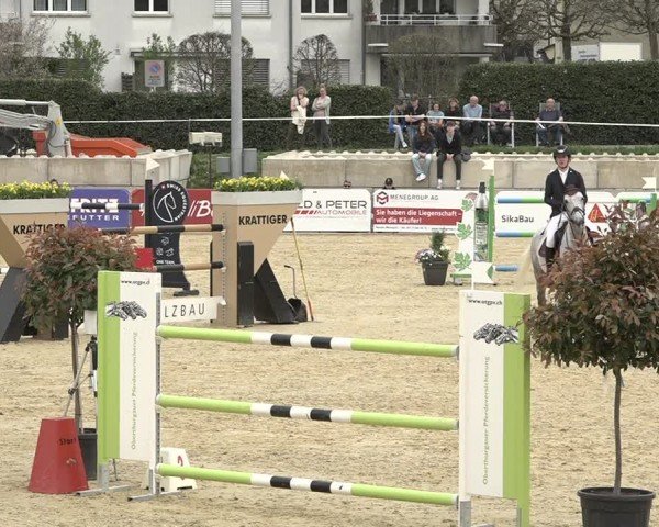 Reitturnier Amriswil 2024