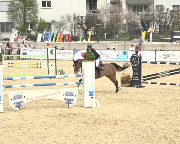 Reitturnier Amriswil 2024