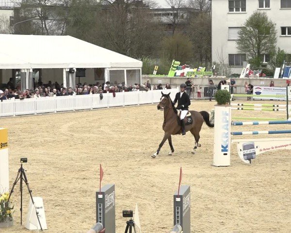 Reitturnier Amriswil 2024