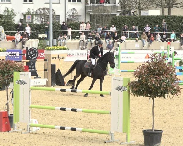 Reitturnier Amriswil 2024