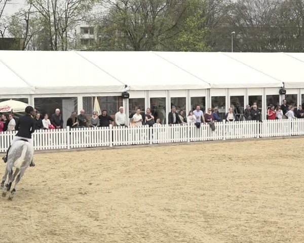 Reitturnier Amriswil 2024