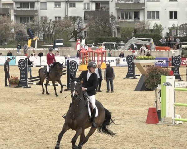 Reitturnier Amriswil 2024
