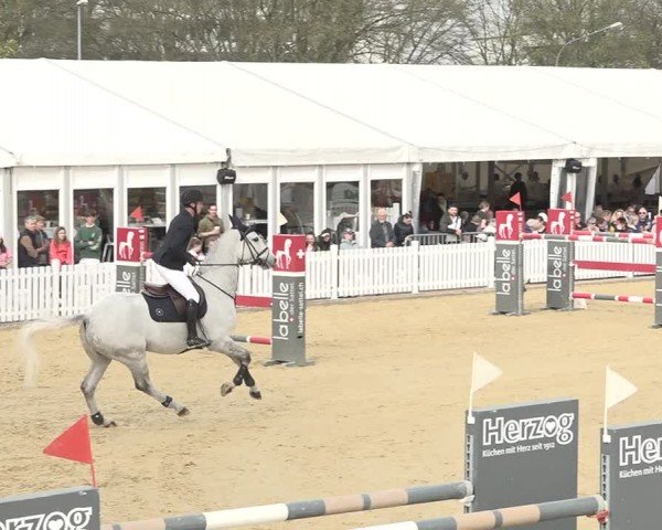 Reitturnier Amriswil 2024
